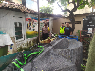 Polsek Semampir Laksanakan Patroli Harkamtibmas di Kampung Tangguh Sidotopo, Pantau Ketahanan Pangan Budidaya Lele