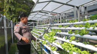 Bhabinkamtibmas Kelurahan Tanjung Perak Laksanakan Cek Program Ketahanan Pangan di Taman Hidroponik Petekan