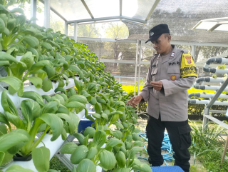 Bhabinkamtibmas Pabean Cantikan Laksanakan Pembinaan Ketahanan Pangan Hidroponik di Kelurahan Tanjung Perak