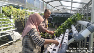 Bhabinkamtibmas Kelurahan Tanjung Perak Laksanakan Pembinaan Ketahanan Pangan dan Monitoring Hidroponik di Petekan 8