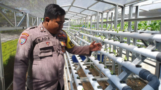 Bhabinkamtibmas Tanjung Perak Cek Program Ketahanan Pangan di Taman Hydroponik Petekan
