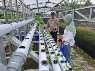 Bhabinkamtibmas Kelurahan Tanjung Perak Gelar Pembinaan Ketahanan Pangan di Lahan Hidroponik Petekkan