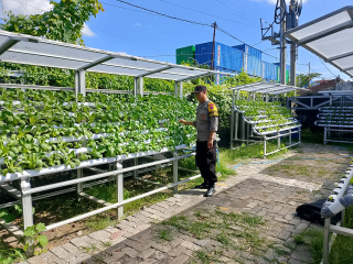 Laporan Kegiatan Bhabinkamtibmas Terkait Pembinaan Program Ketahanan Pangan di Taman Hidroponik Petekkan