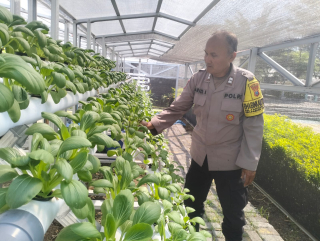 Bhabinkamtibmas Polsek Pabean Cantikan Lakukan Pembinaan Program Ketahanan Pangan Hidroponik