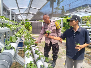 Bhabinkamtibmas Polsek Pabean Cantikan Laksanakan Pembinaan Program Ketahanan Pangan Hidroponik