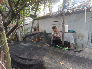 Polsek Semampir Laksanakan Patroli Harkamtibmas di Sidotopo Kampung Tangguh dengan Fokus Pemantauan Program Ketahanan Pangan Budidaya Ikan Lele