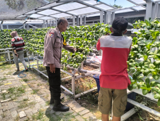 Bhabinkamtibmas Kelurahan Tanjung Perak Laksanakan Asistensi dan Pembinaan Program Ketahanan Pangan di Pekarangan Hidroponik Petekkan