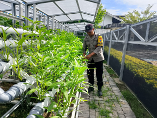 Bhabinkamtibmas Laksanakan Pembinaan Program Ketahanan Pangan Hidroponik