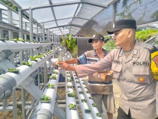 Bhabinkamtibmas Kelurahan Tanjung Perak Gelar Pembinaan Program Ketahanan Pangan melalui Asistensi Hidroponik