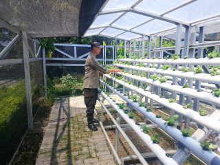 Bhabinkamtibmas Laksanakan Asistensi dan Pembinaan Program Ketahanan Pangan di Pekarangan Hidroponik Kalimas Baru