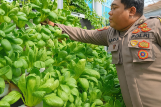 Bhabinkamtibmas Tanjung Perak Tinjau Program Ketahanan Pangan di Taman Hidroponik Petekkan