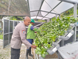 Bhabinkamtibmas Tanjung Perak Gelar Pembinaan Program Ketahanan Pangan di Lahan Hidroponik