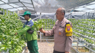 Bhabinkamtibmas Laksanakan Asistensi dan Pembinaan Program Ketahanan Pangan Hidroponik di Taman Petekkan Riverside