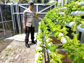 Bhabinkamtibmas Laksanakan Pembinaan Program Ketahanan Pangan di Pekarangan Hidroponik Petekkan