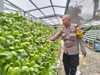 Bhabinkamtibmas Kelurahan Tanjung Perak Sambang Kelompok Tani Petekan 8 Pantau Program Ketahanan Pangan