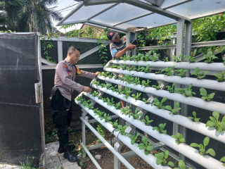 Bhabinkamtibmas Kelurahan Bongkaran Tinjau Program Ketahanan Pangan di Taman Hidroponik Petekkan