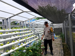 Bhabinkamtibmas Laksanakan Pembinaan Program Ketahanan Pangan di Pekarangan Hidroponik Petekkan Kalimas Baru