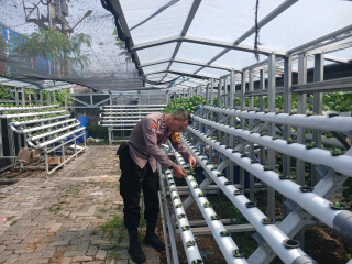 Bhabinkamtibmas Bongkaran Tinjau Program Ketahanan Pangan di Taman Hydroponik Petekkan