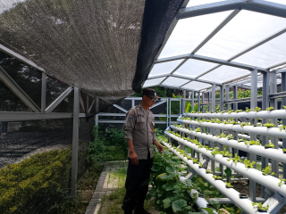 Giat Pembinaan Ketahanan Pangan Bhabinkamtibmas Pabean Cantikan di Pekarangan Hidroponik Petekkan