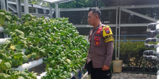 Pemantauan Program Ketahanan Pangan oleh Bhabinkamtibmas Kelurahan Bongkaran di Area Taman Hidroponik Petekkan