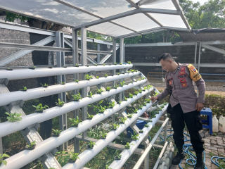 Bhabinkamtibmas Bongkaran Tinjau Program Ketahanan Pangan di Taman Hidroponik Petekkan