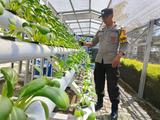 Bhabinkamtibmas Laksanakan Pembinaan Program Ketahanan Pangan Di Pekarangan Hidroponik Petekkan