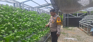 Bhabinkamtibmas Krembangan Utara Laksanakan Cek dan Ricek Program Ketahanan Pangan