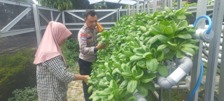 Bhabinkamtibmas Laksanakan Pembinaan Program Ketahanan Pangan di Pekarangan Hidroponik Petekkan