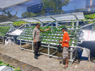 Bhabinkamtibmas Laksanakan Pembinaan Program Ketahanan Pangan di Pekarangan Hidroponik Petekkan