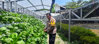Bhabinkamtibmas Laksanakan Pembinaan Program Ketahanan Pangan Hidroponik di Taman Petekkan Riverside