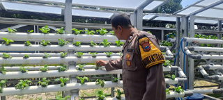 Bhabinkamtibmas Laksanakan Pembinaan Program Ketahanan Pangan Melalui Pekarangan Hidroponik di Taman Petekkan Riverside