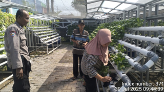 Bhabinkamtibmas Laksanakan Pembinaan Program Ketahanan Pangan Hidroponik di Taman Petekkan Riverside