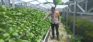 Bhabinkamtibmas Laksanakan Pembinaan Ketahanan Pangan Hidroponik di Taman Petekkan Riverside