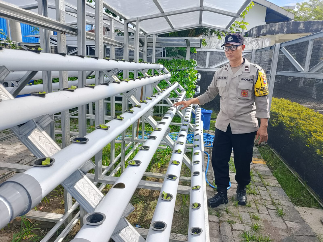 Bhabinkamtibmas Berikan Pembinaan Ketahanan Pangan dan Himbauan Kamtibmas di Taman Hidroponik Petekkan