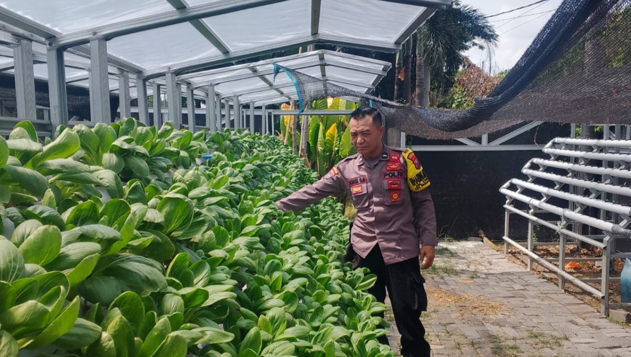 Bhabinkamtibmas Kelurahan Bongkaran Tinjau Program Ketahanan Pangan di Taman Hydroponik Petekkan