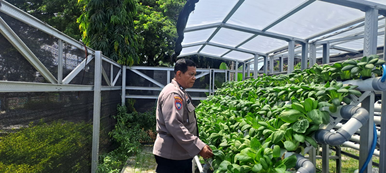 Bhabinkamtibmas Dorong Ketahanan Pangan Lewat Pembinaan Pekarangan Hidroponik di Petekkan
